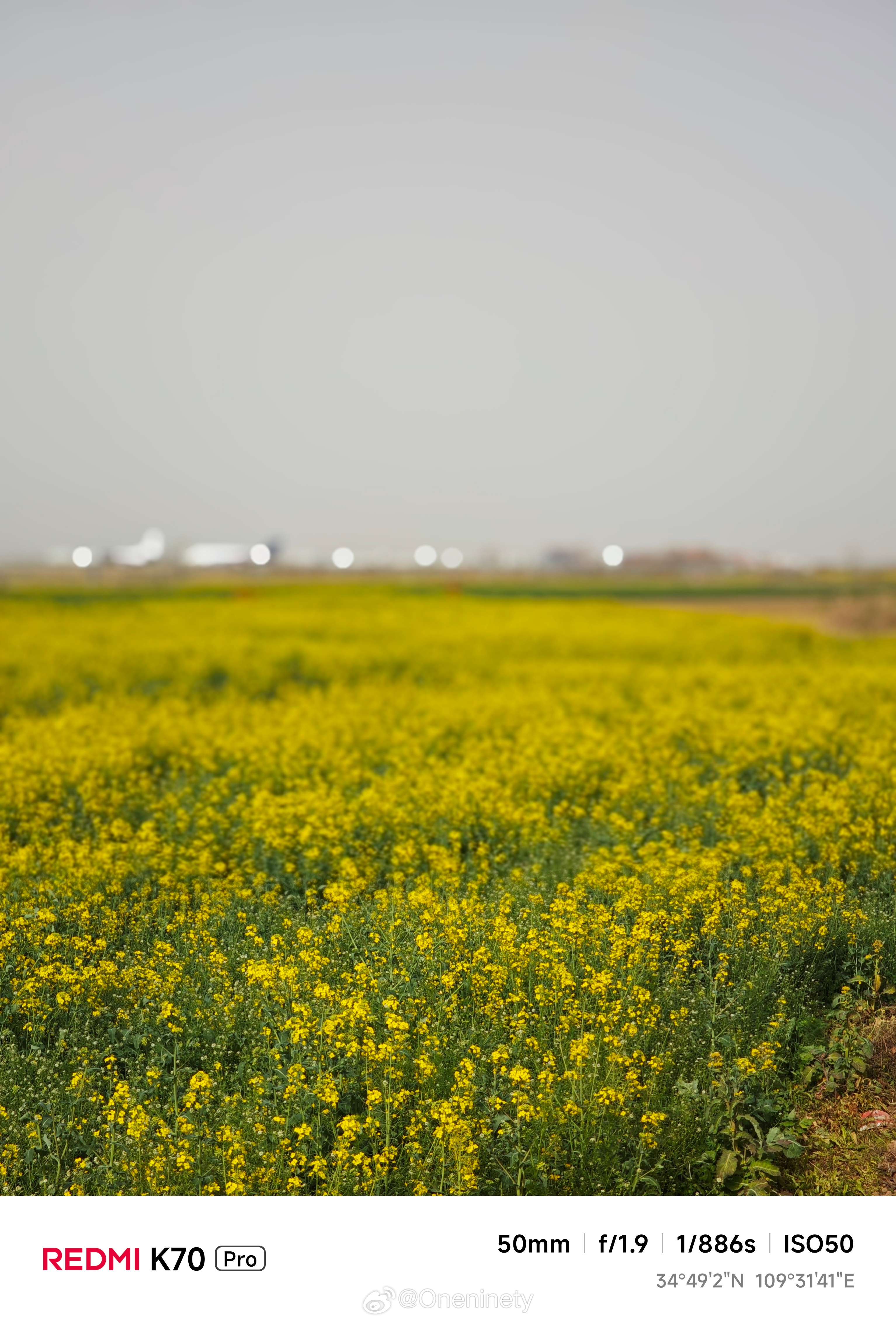 油菜花开190视角 我的清明游记
