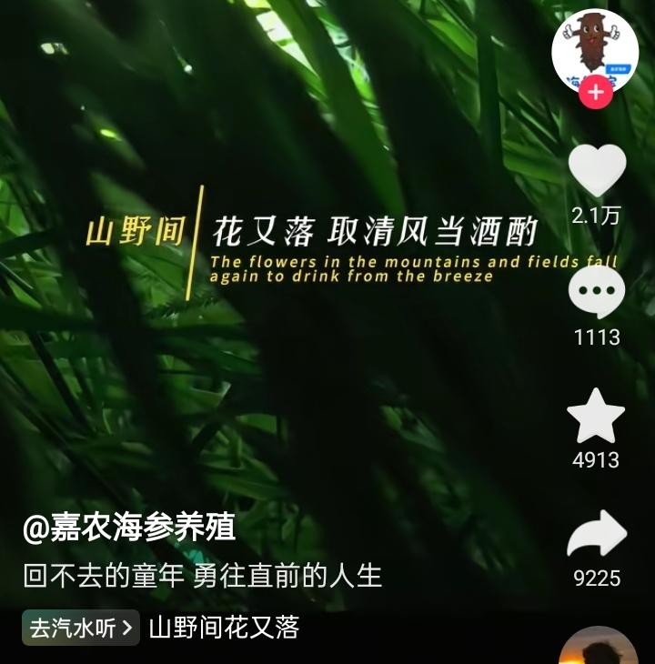 野间花又落 取清风当酒酌
再找不回 年少那个我
旧事随风漂泊 任由流年斑驳
半生