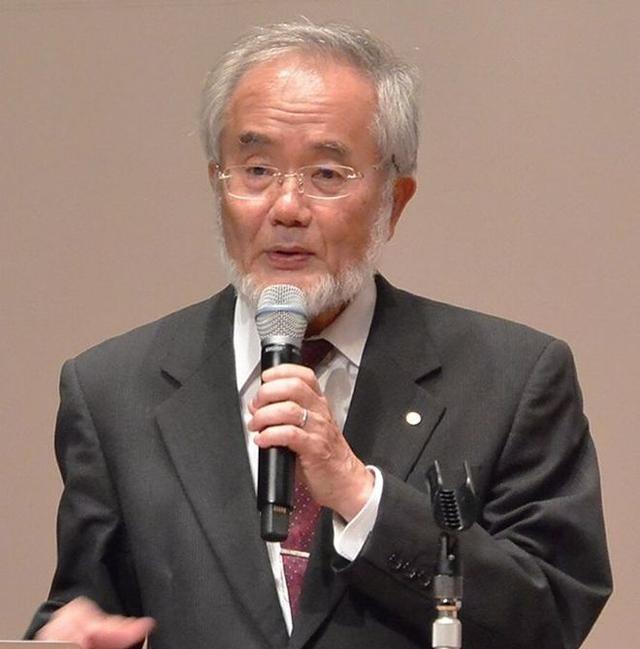 日本生物学家大隅良典因为发现了饿肚子时身体靠 “吃掉“ 受损细胞来自我清理的机制