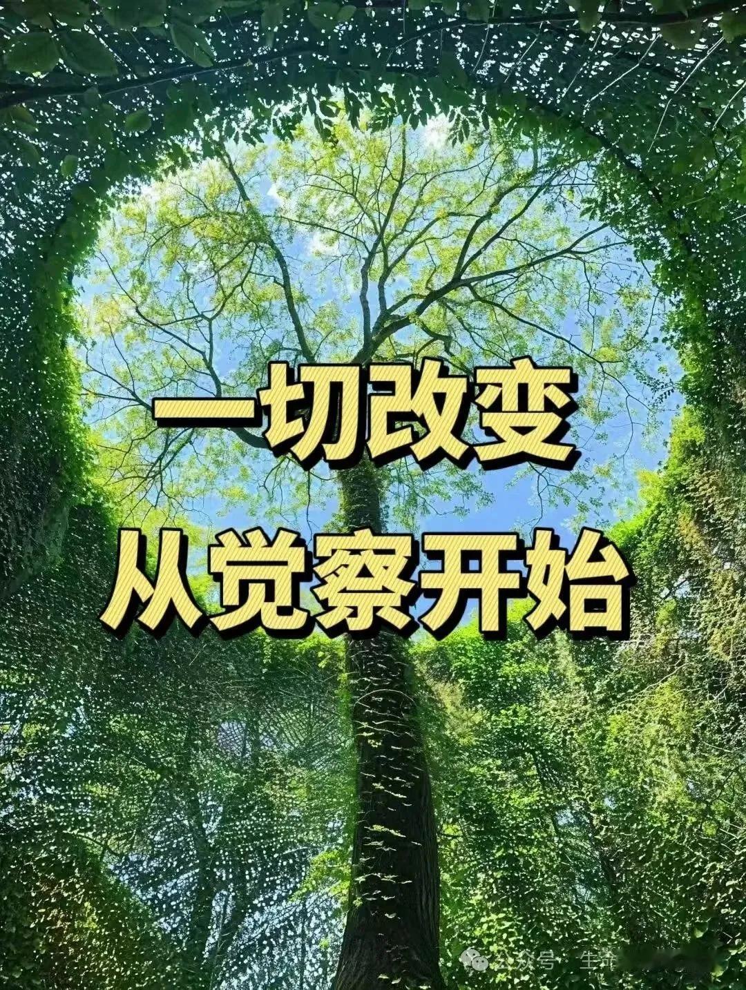 随感

年轻时，有人打电话
问起忙不忙，总是回答说忙
第一是真的忙 
第二即使不