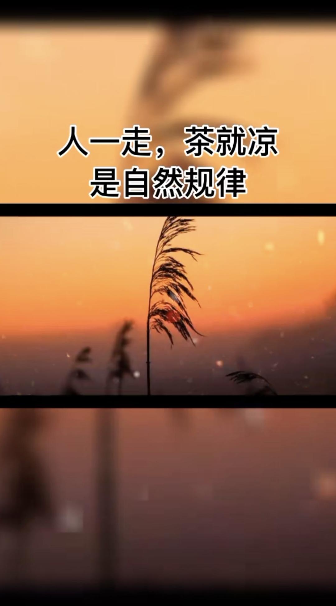 上联，画龙画虎难画骨，下联，知人知面不知心❤️