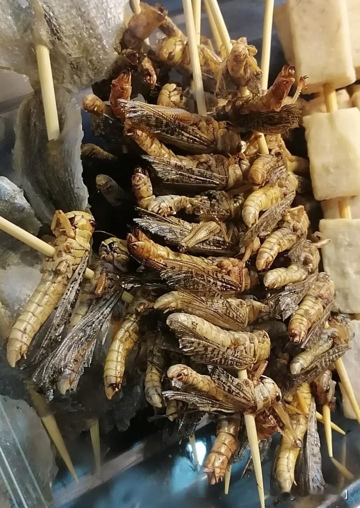 晒图笔记大赛有没有知道这是啥？