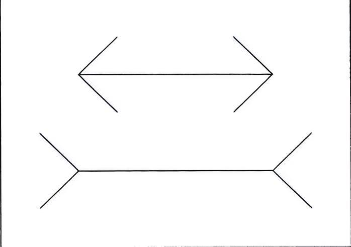 你的眼睛告诉你，下面一条线比上面一条线长；你的手告诉你，两条线原来是一样长。