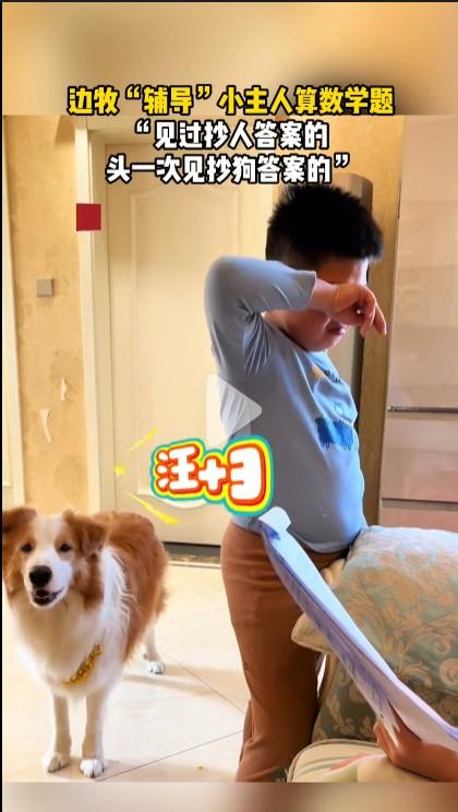 这种视频明显就是摆拍的，是为了博取流量和搞笑的，千万不要当真。网传视频显示，河南