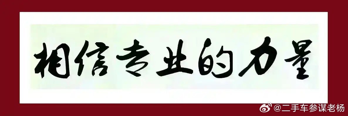 二手车参谋老杨 流水账（第262）        你选车需要专业给予肯定，你才能