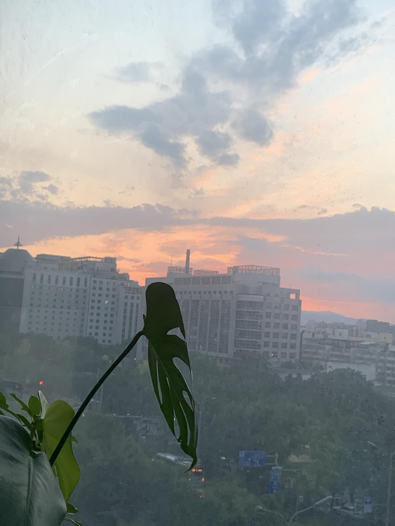 记录一下傍晚七点隔着家的玻璃拍下的天空。
傍晚的北京西城，被一层温柔而梦幻的粉紫