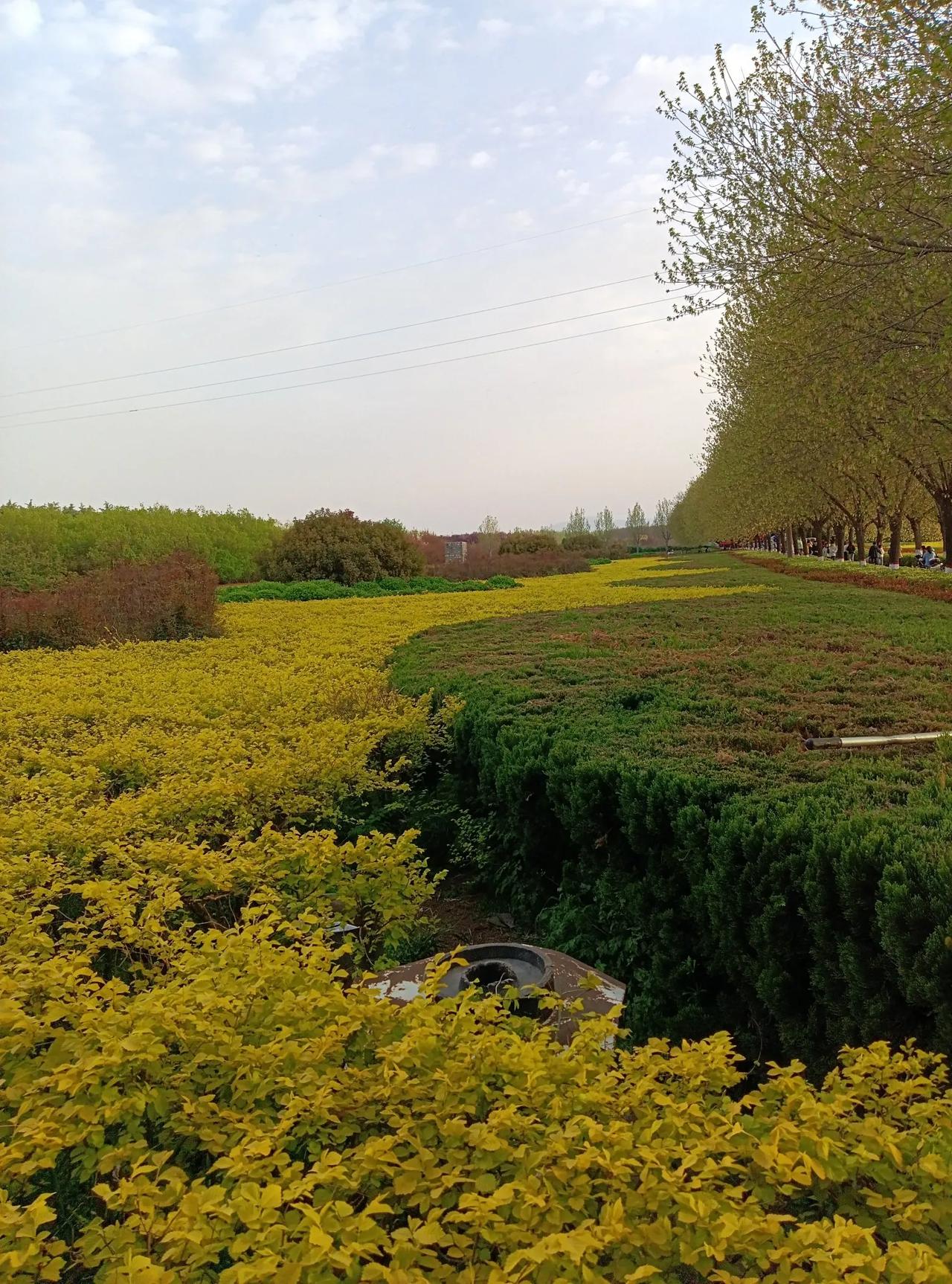 让我说：其实有好多东西眼睛是看不见的，却比看得见的更重要！
比如空气，看不见摸不