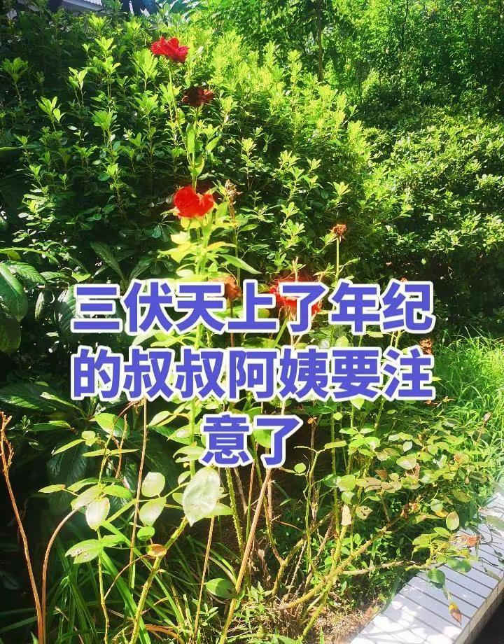 法拉利再老也比拖拉机强