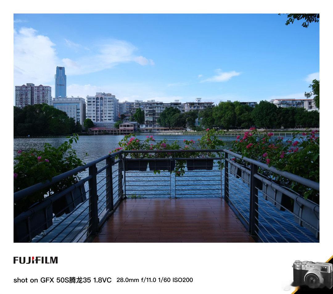 继续奉上广州东山湖公园的雅致景色风景摄影日常分享风景摄影 腾龙35 1.8VC 