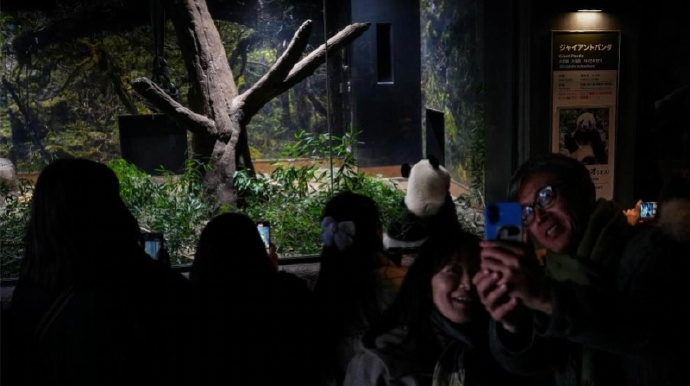 #旅日大熊猫晓晓蕾蕾今天回国#【旅日大熊猫“晓晓”“蕾蕾”，今天回国】#最后两只