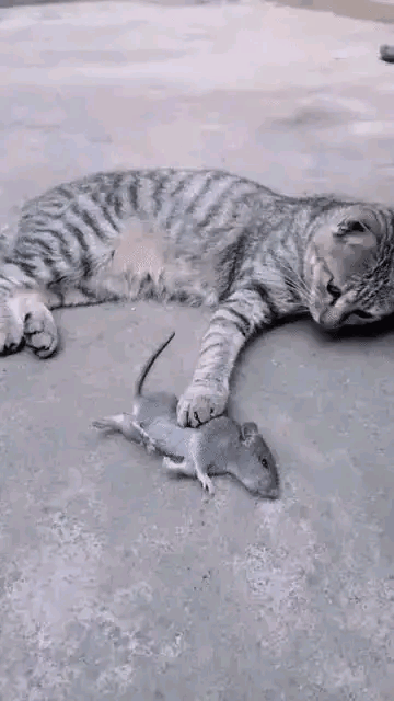 如果我没猜错的话，这场景应该就是传说中生不如死吧[思考]