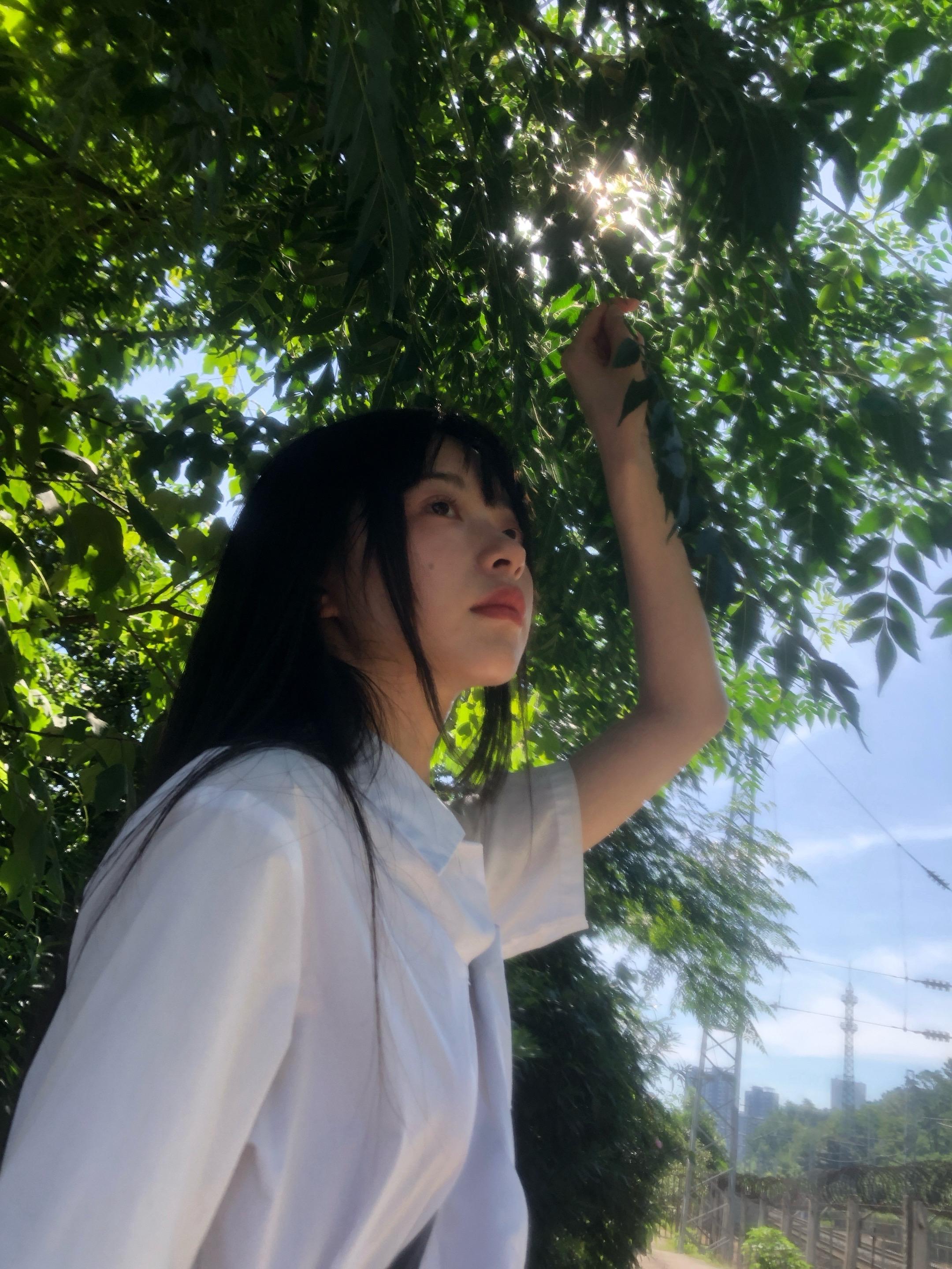 低低地飞过夏天