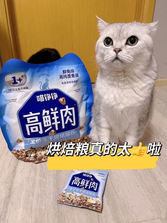 一袋🟰一只兔子一只鸡