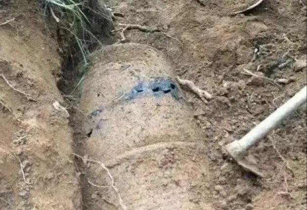 2017年，云南农民在深山采药时，发现了6.7万个大型油桶，里面装着一具具尸体，