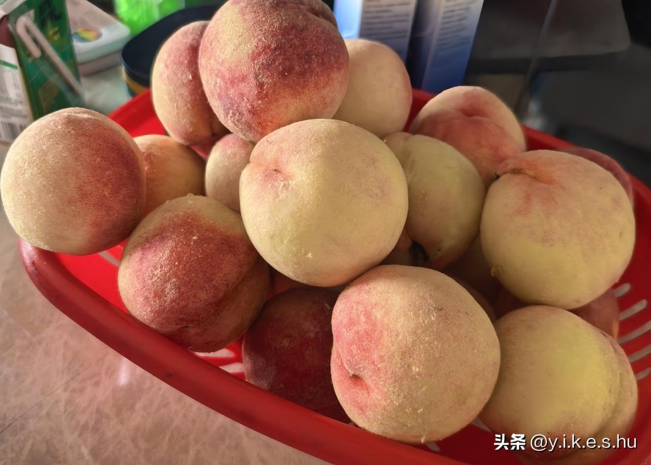 自己家的桃子就是好吃，脆甜桃香味浓
