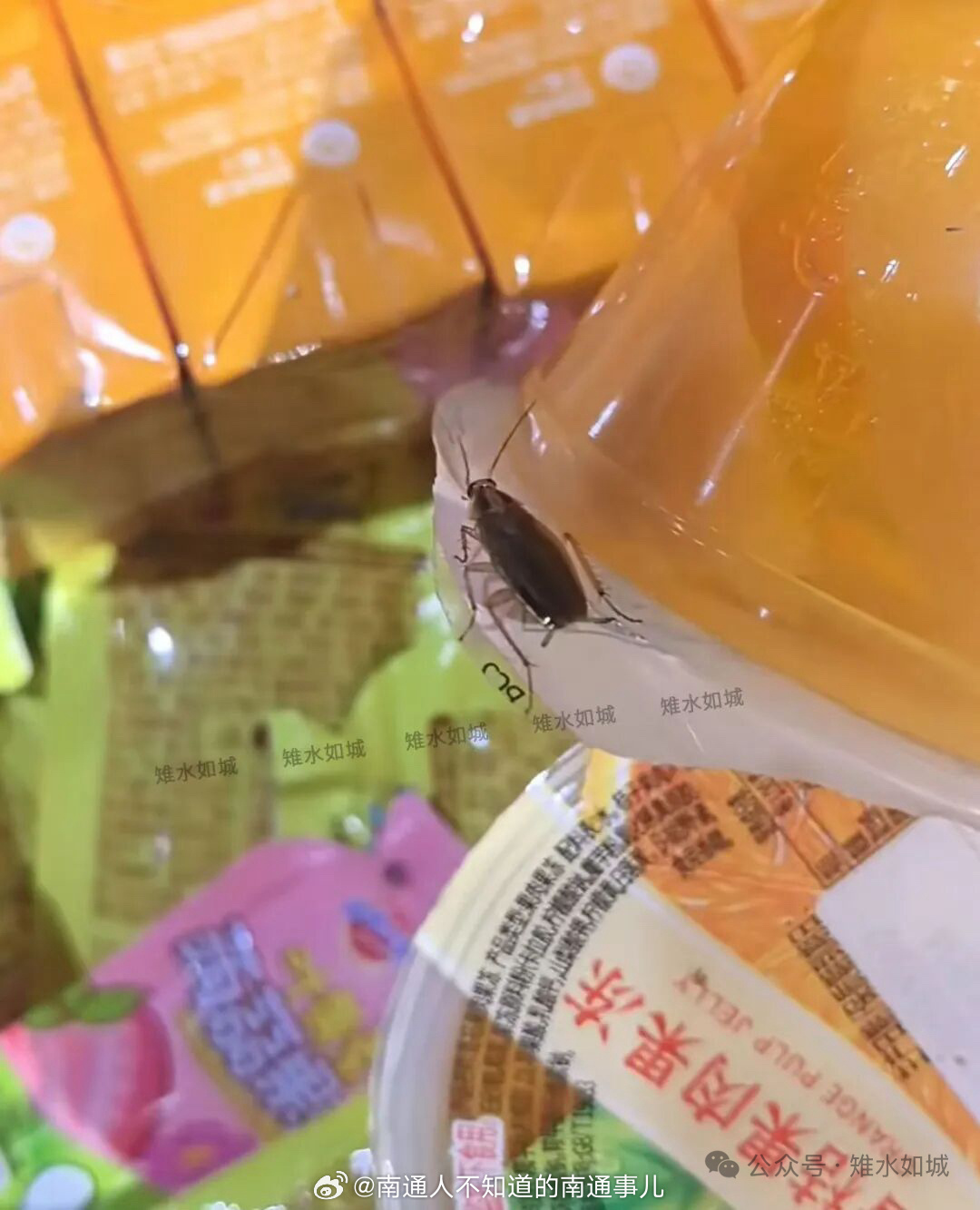 南通爆料 近日，有网友爆料：如皋苏浙市场某超市的散装食品售卖区，一只蟑螂在食品堆