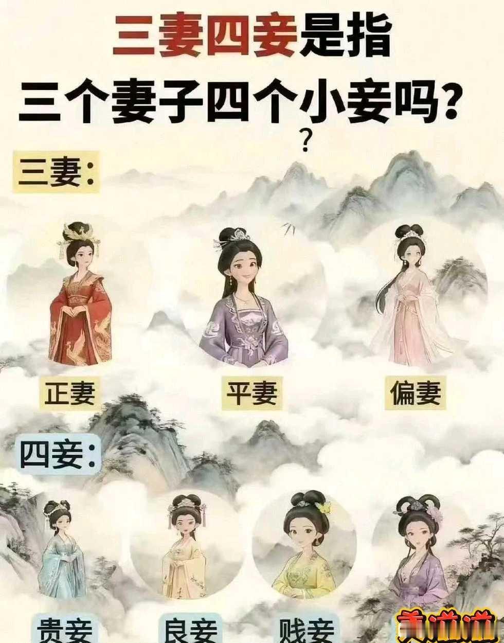 三妻四妾是指什么？ ​​​
