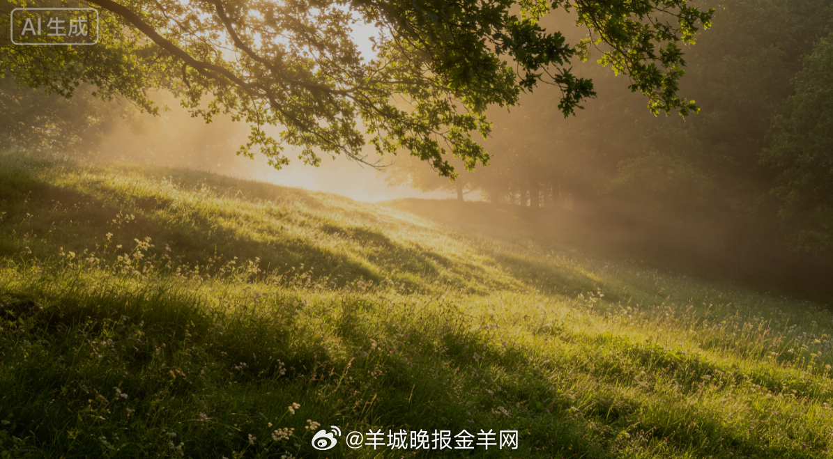 #早安# 盛夏的清晨带着一丝微凉，暖光穿过层层枝叶洒落满坡野草与小野花。慢悠悠走