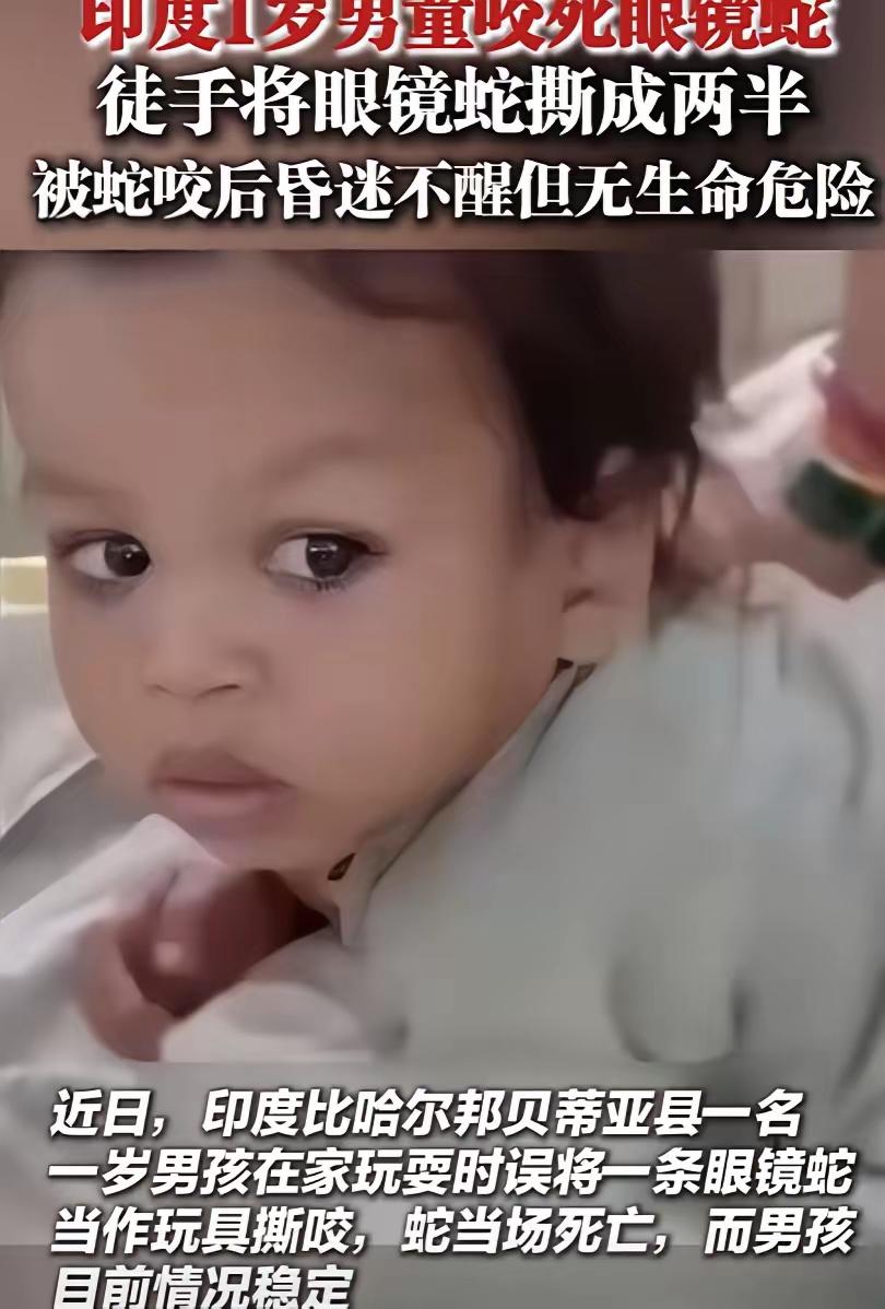 2025年7月印度，1岁男童玩耍时，眼镜蛇突然闯入家中，男童误把它当作玩具，竟然
