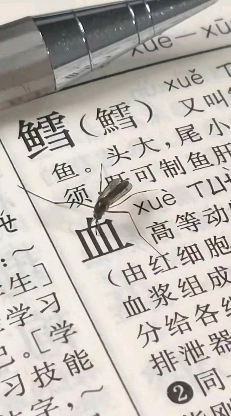 成精了 ​​​