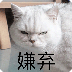[嘻嘻] ​​​