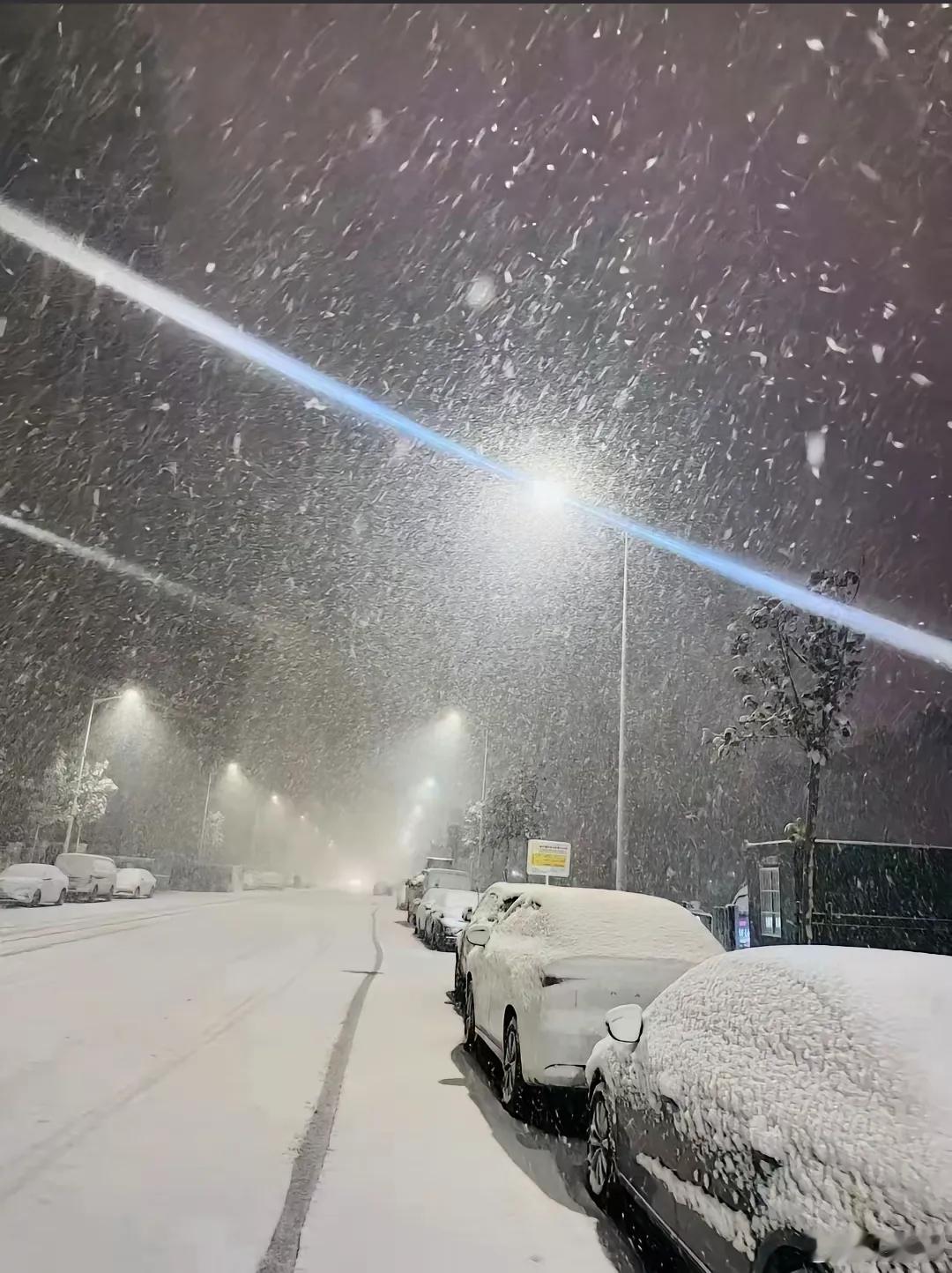 郑州积雪最深可达13厘米 我记得去年这个时候郑州下的雪也挺大的，记得以前到了冬天