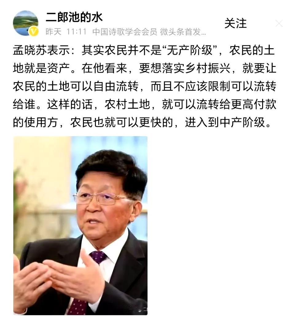孟晓苏的这个观点，我完全不赞成！

孟晓苏认为，农民并不是无产阶级，农民的土地就