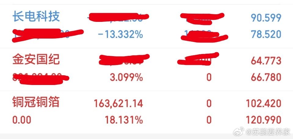 今日操作出局：铜冠铜箔持有：长电科技，金安国纪 