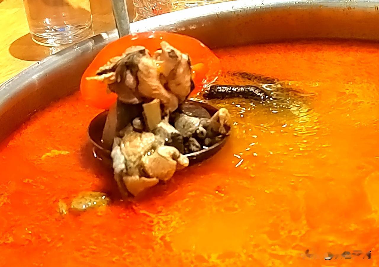 昆明老艺术学院门口刚刚开的新店：番大财云南古法酸汤鸡火锅，生意爆好，客人很多，下
