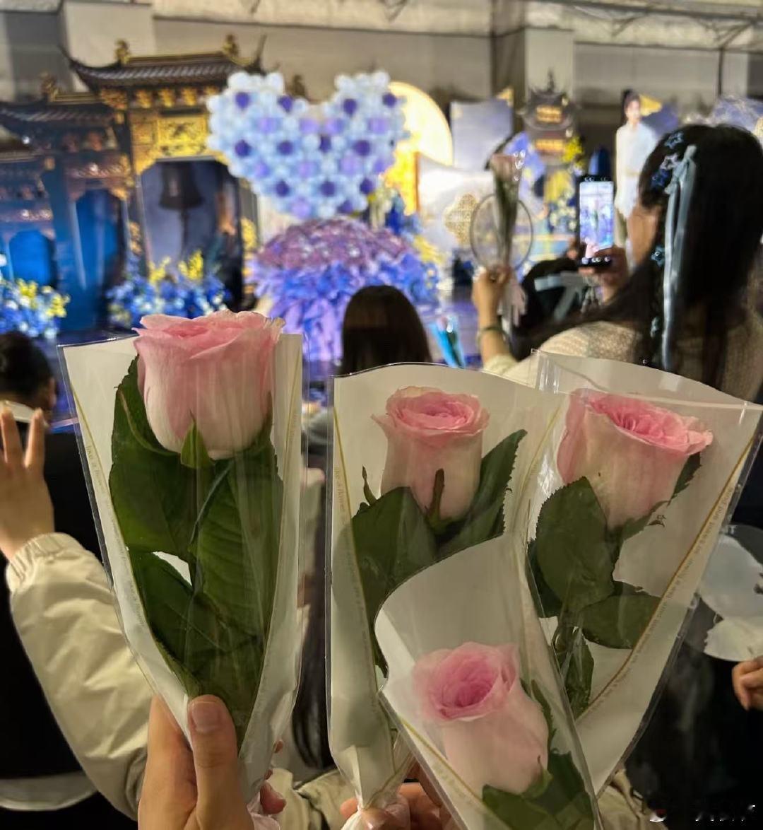 田嘉瑞送粉丝玫瑰花田嘉瑞520送粉丝玫瑰花！田嘉瑞520送粉丝玫瑰花