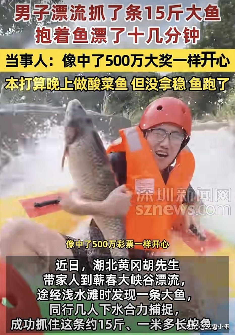 湖北黄冈，一男子带家人去大峡谷景区玩漂流时，在一条浅水滩发现了一条大鲤鱼，大概有