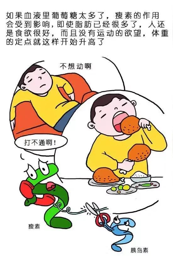 坐火车的时候，有一个长得又黑又胖20来岁的年轻小伙子，上厕所，从身边走过，就走那