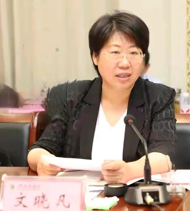 河南省叶县县委书记文晓凡带着几百号人拆除果园，并公开表态说这拆迁是合法合规的。你