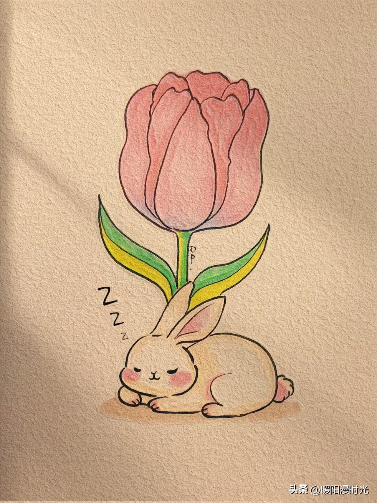 郁金香轻遮软兔，
酣眠偷藏一整个春日温柔好梦。
画画的Dp郁金香小兔简笔画分享