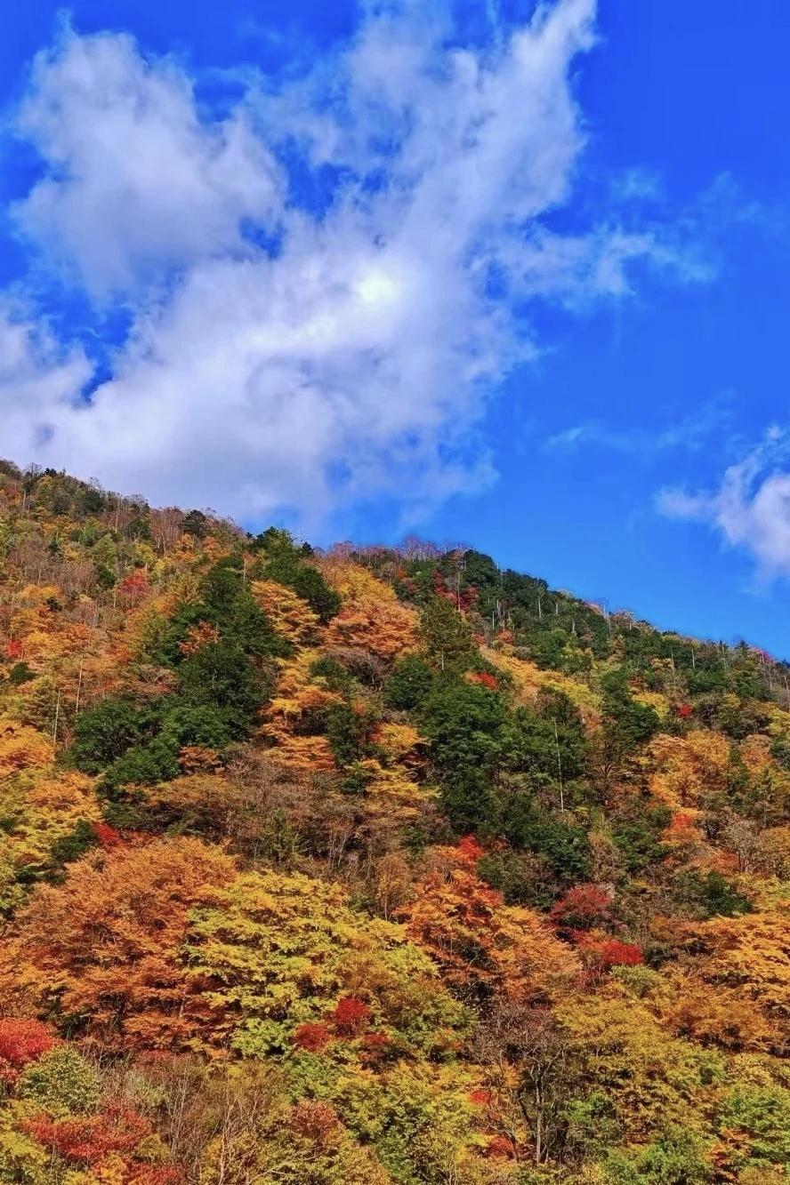 【辽宁是全国老龄化最严重省份吗】
        辽宁确实是全国老龄化最严重的省