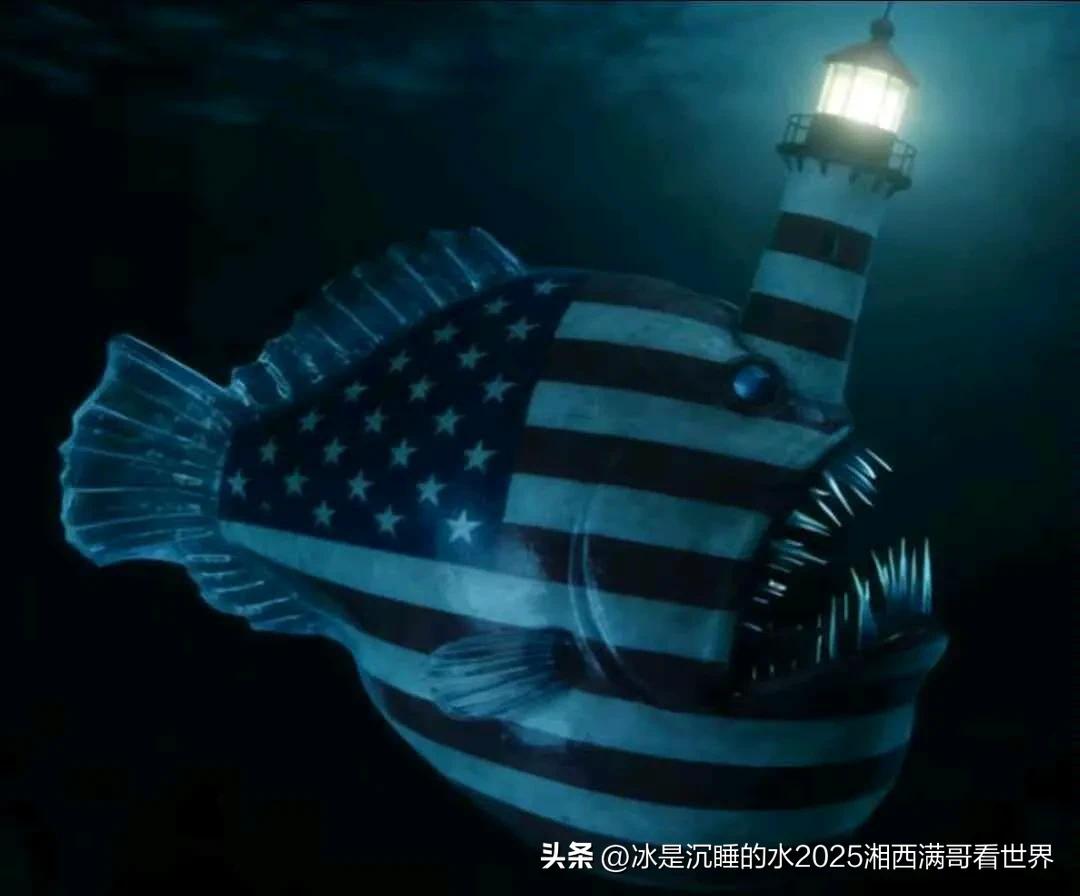 鮟鱇鱼是海洋生物里非常有特色的深海鱼，可以通过身体类似灯塔的发光器官吸引趋光性的