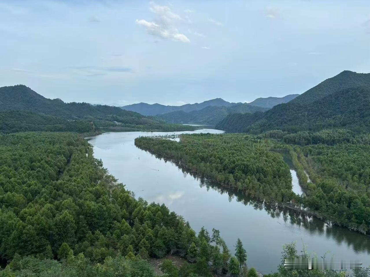 公司焦虑症，是职场最大的癌症。不上班不行，上了班没业绩不行，有业绩没做到顶级不行