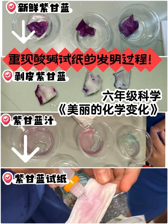 测试、评价、改进、再测试！像极了科学家！