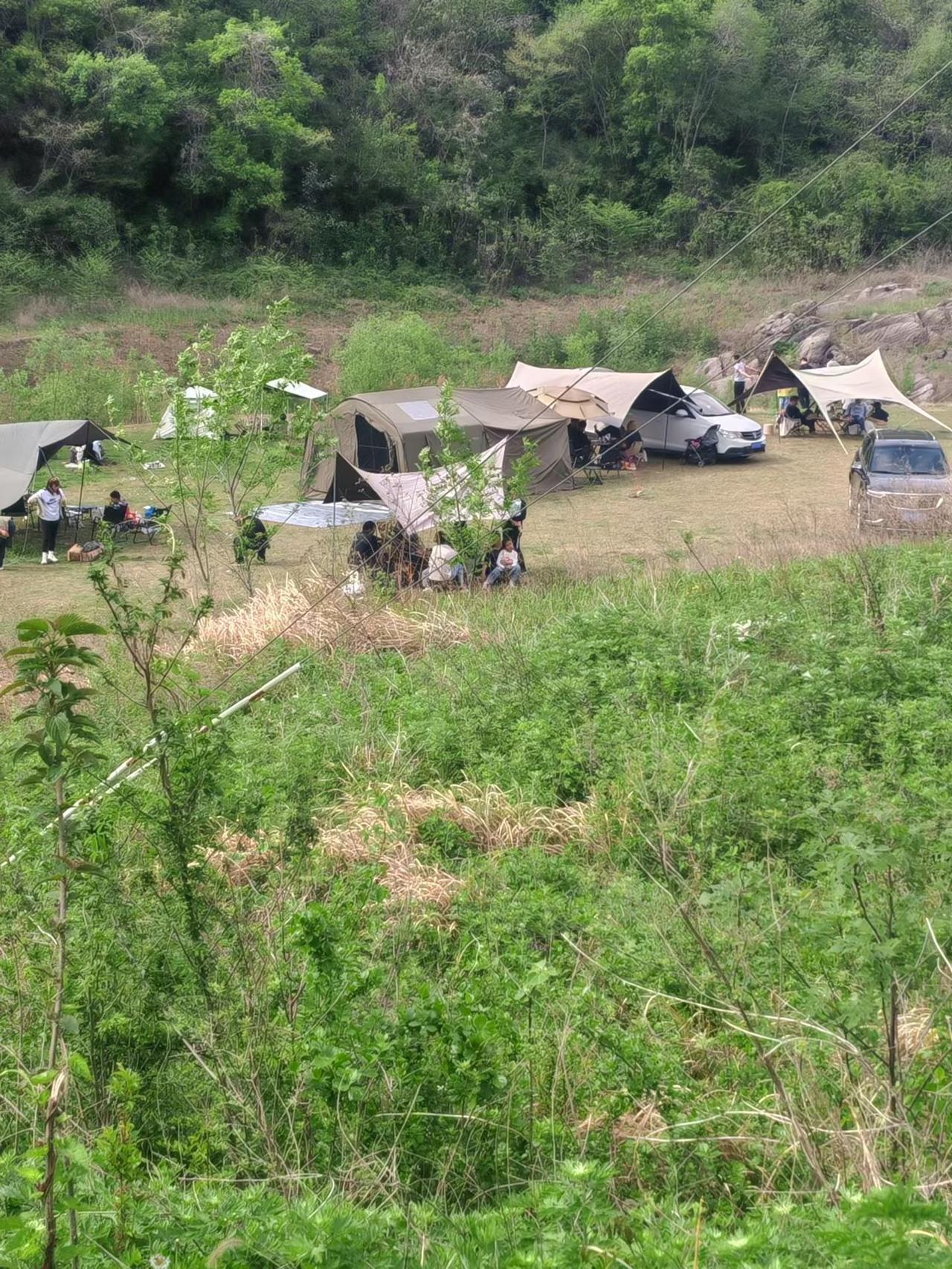 下午记。下午去古玩市场抓鱼，小陈不在，丁哥在。上次跟小陈说好了，他给我带几条热带