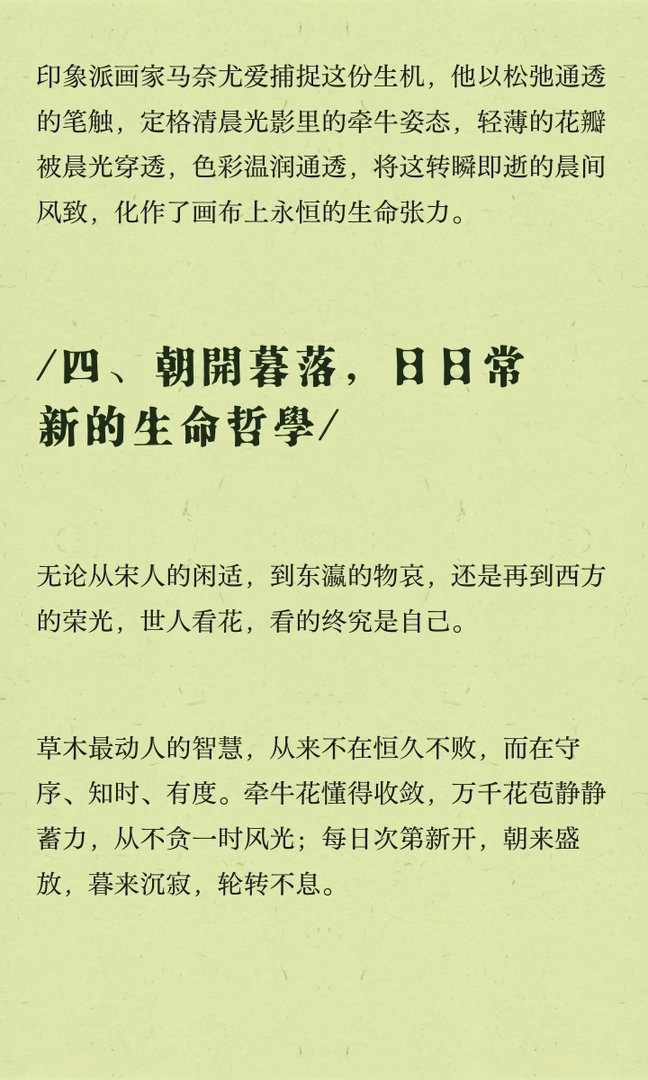 三伏天，人是水深火热，牵牛花的日子过得却是潇洒肆意植物