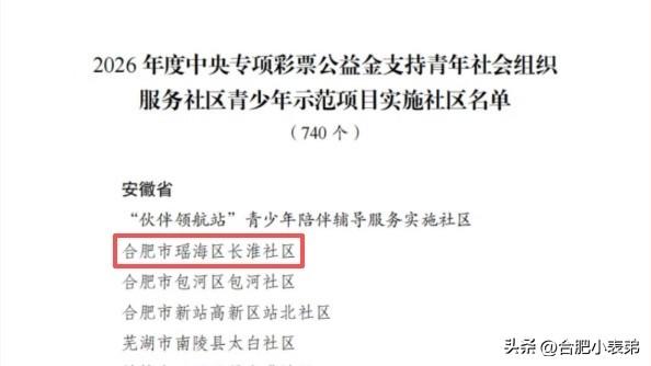 喜报！共青团官宣 2026 年度国家级示范项目名单，合肥市瑶海区长淮社区成功入选