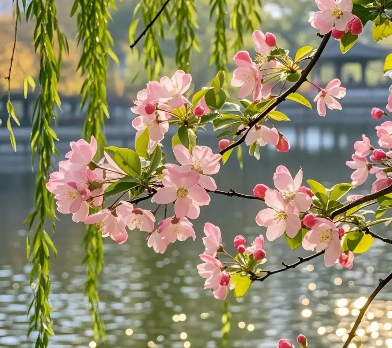 父母生病住院没钱选好方案，孩子想上兴趣班只能拖着，中年人小病都不敢去医院——这日