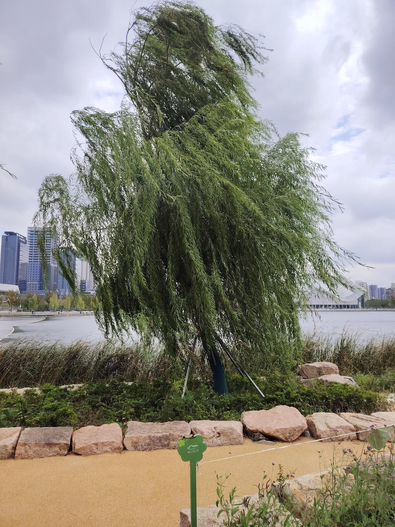 “这家公司火了！”深圳，整个公司的员工吃完外卖申请退款吃白食，完了还反手给外卖小