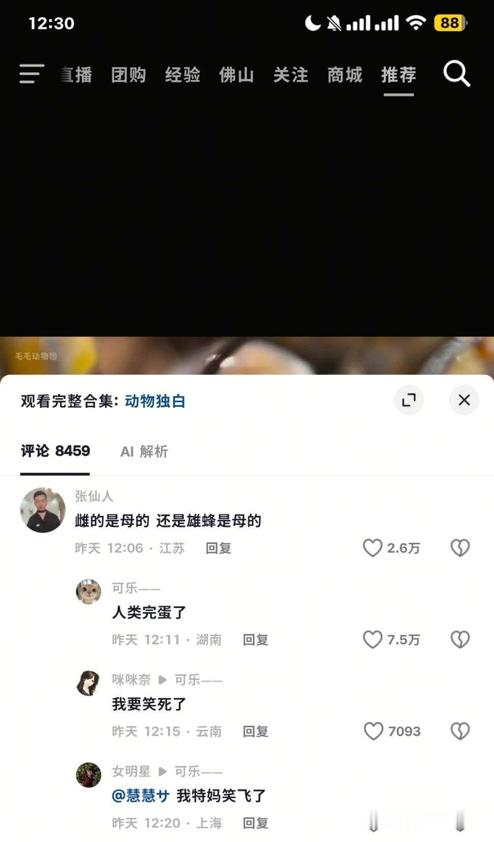 : 雌的是母的 还是雄蜂是母的 