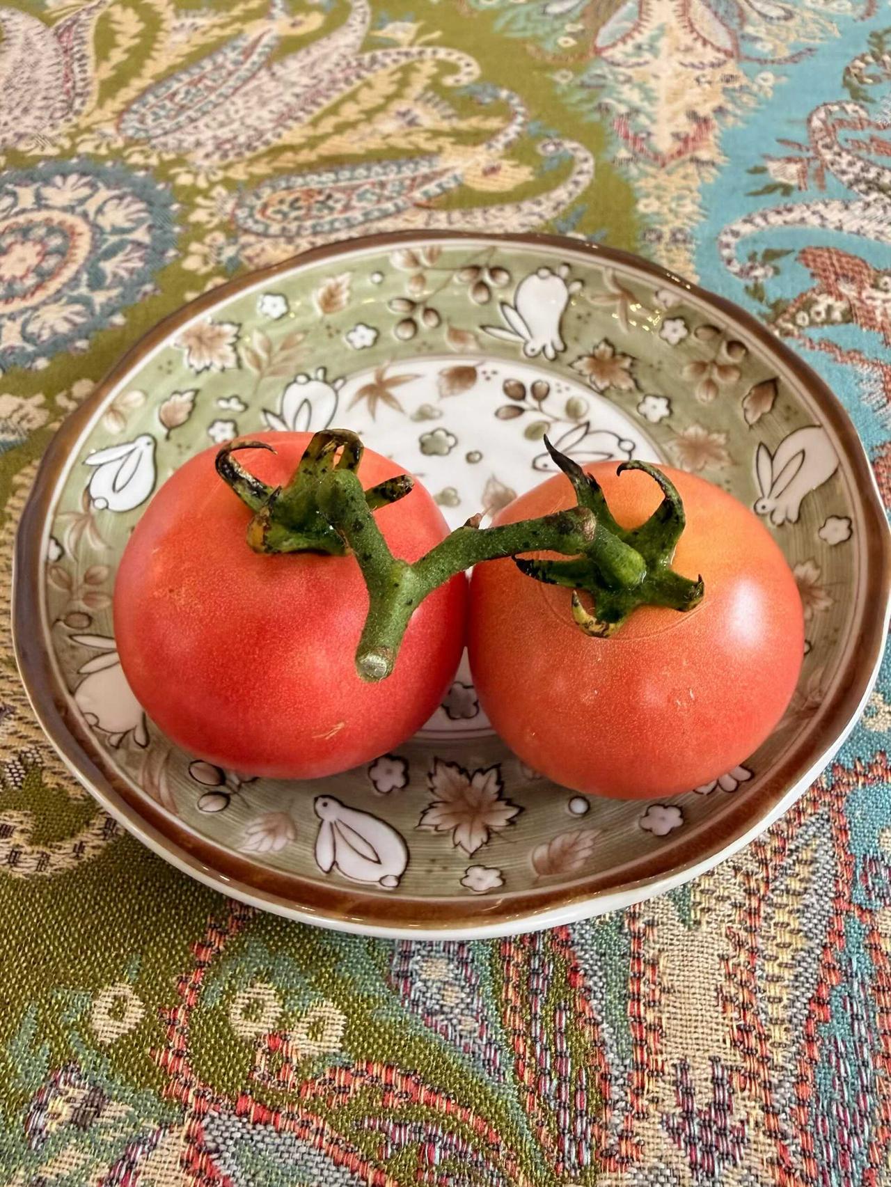 自然成熟的西红柿🍅，鲜甜有童年的味道。