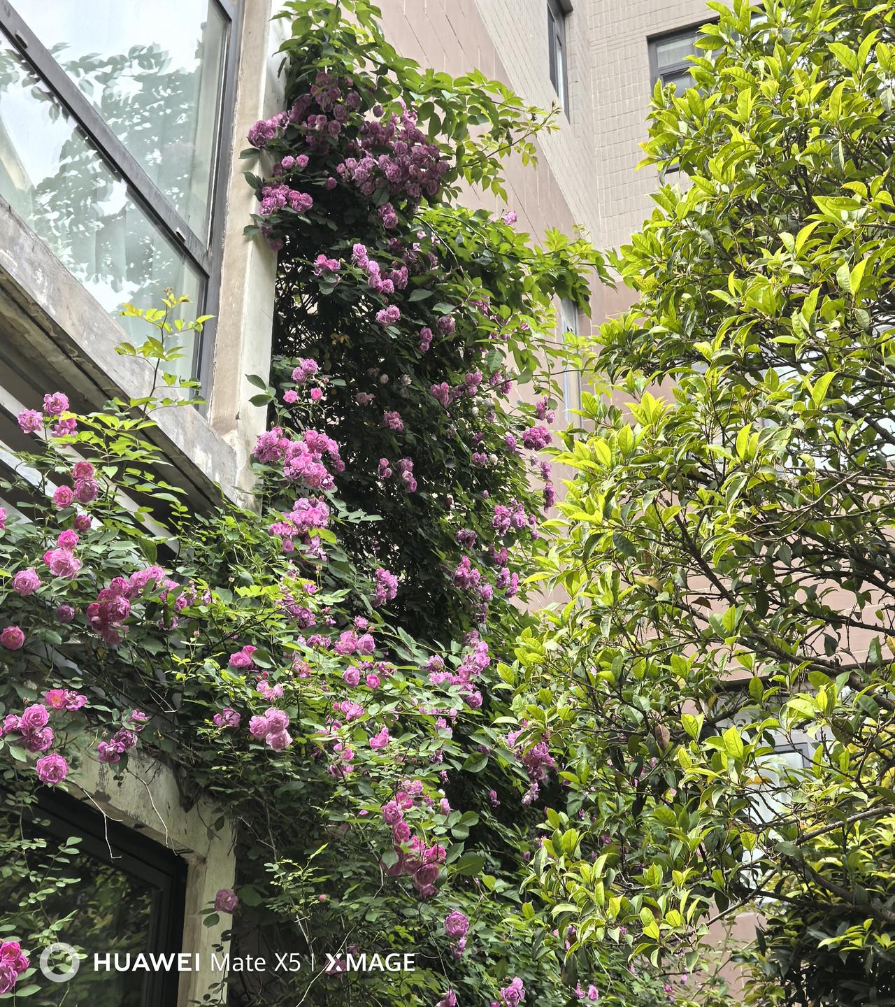 春夏秋，都心冬日好