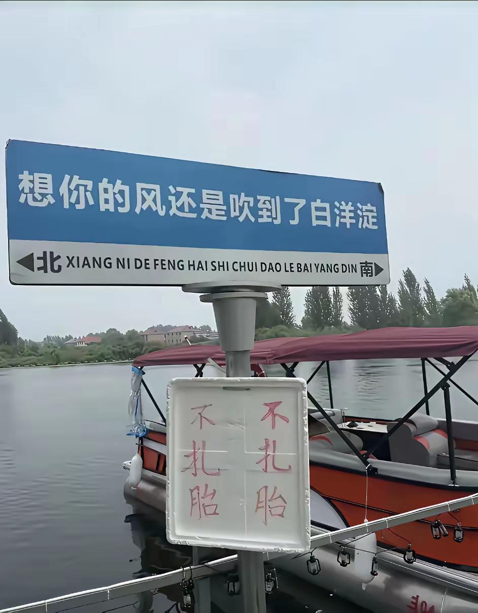 白洋淀，不扎胎就完了吗？游客不是傻子，被坑一次，终身难忘。这里不是那种非看不可的