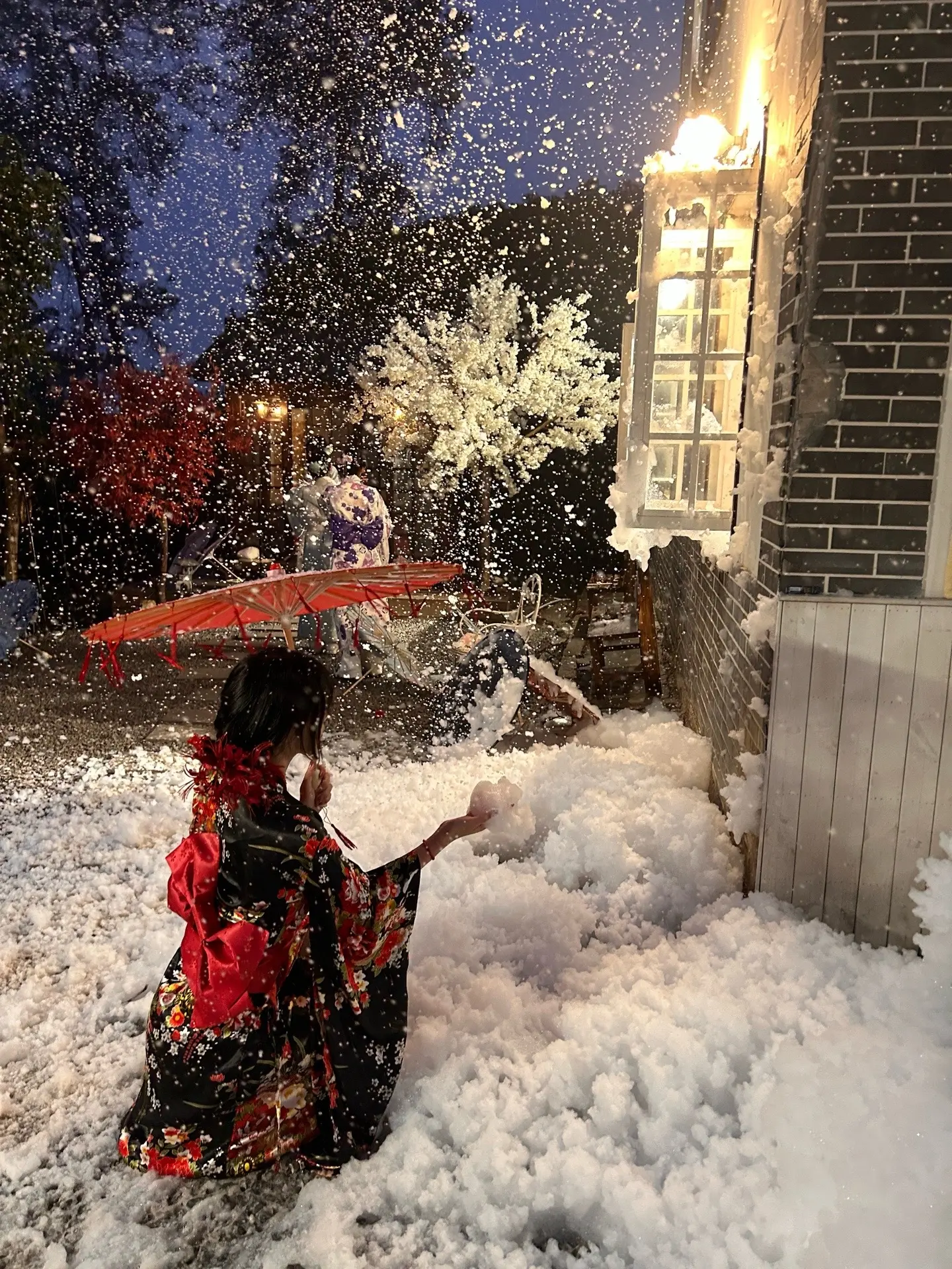 问风雪 可有归人