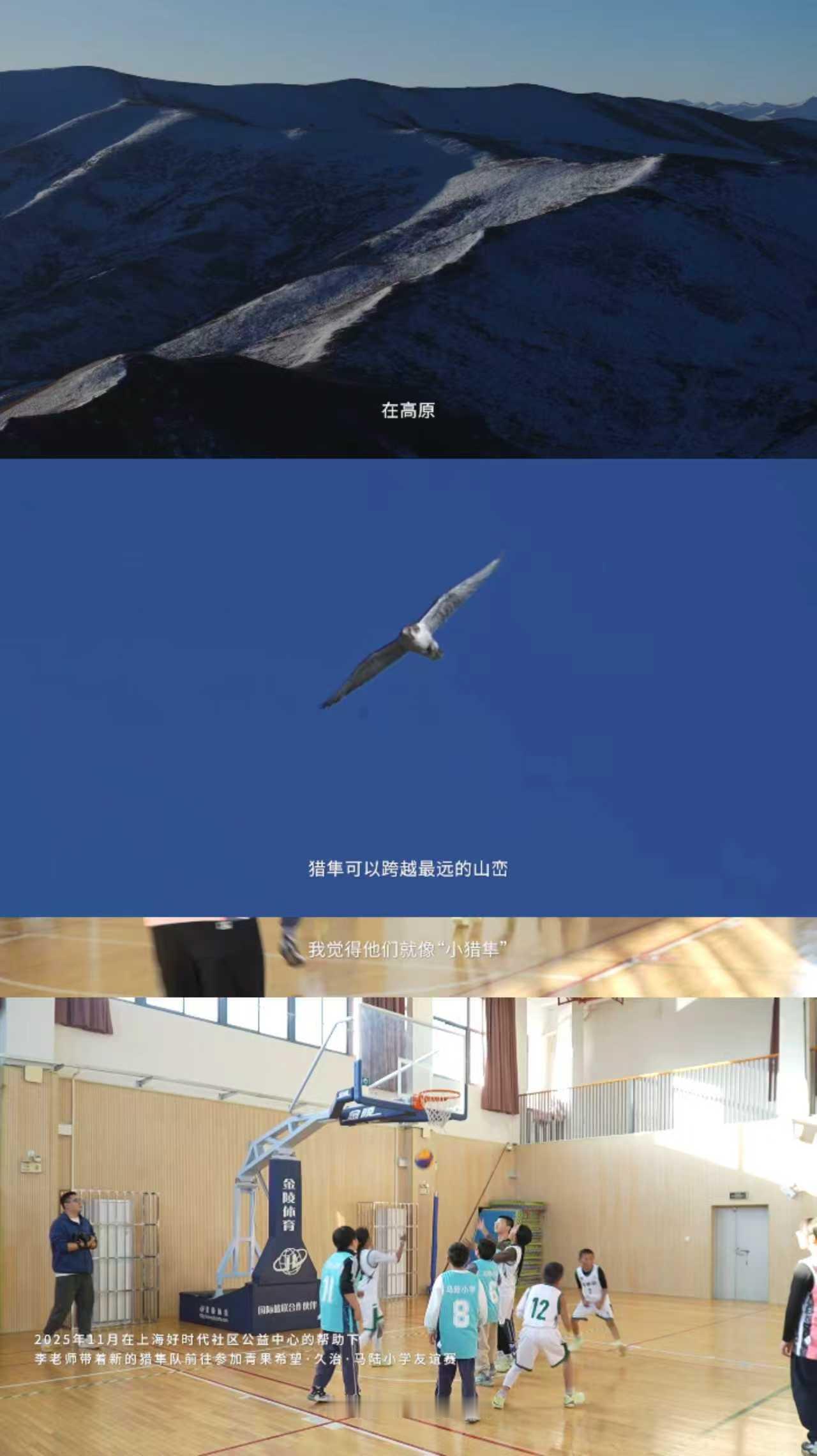 青海小球员逐梦上海的托举之手在海拔3800米的高原上，有一群被称为“小猎隼”的青