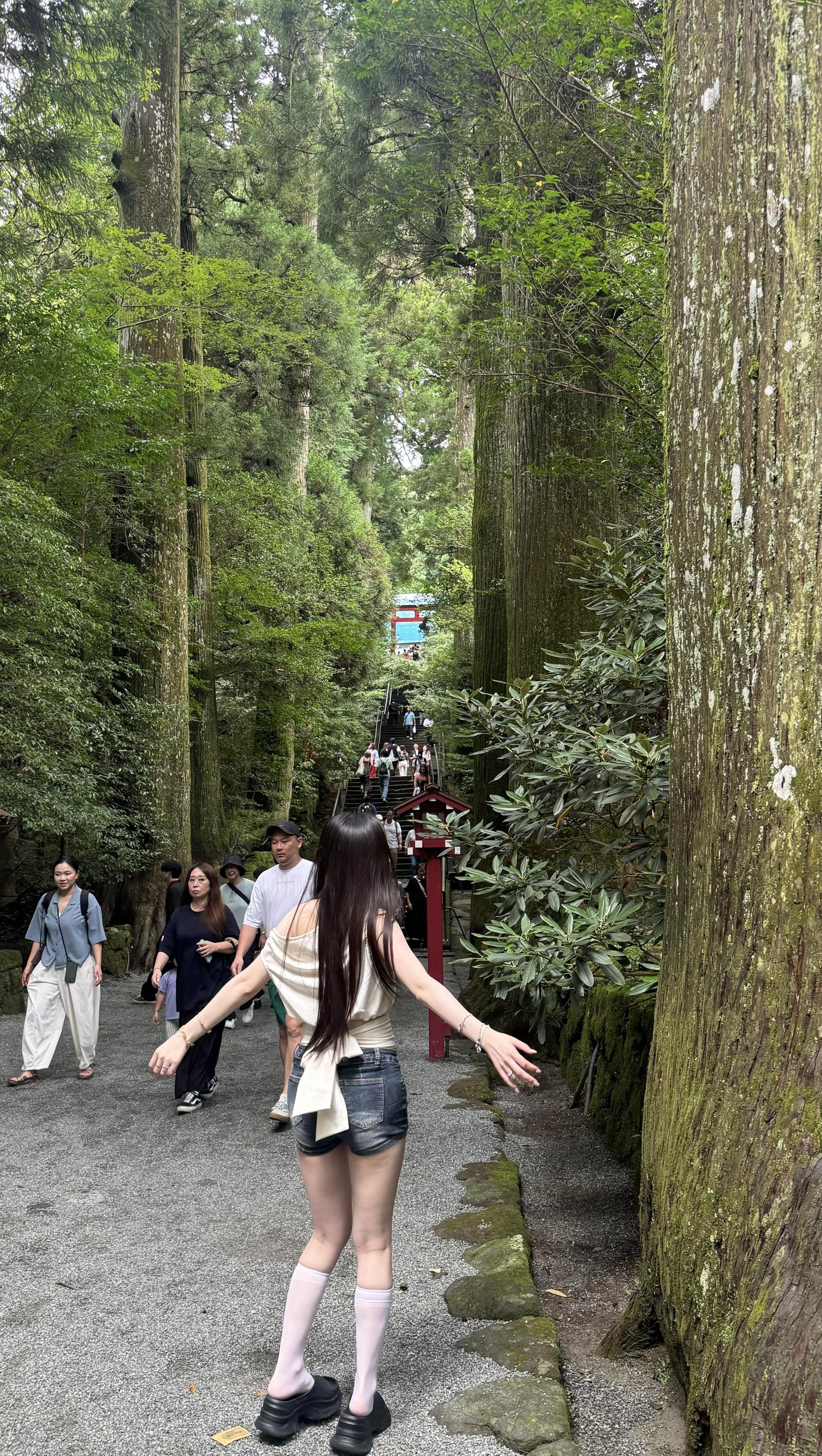 在日本被歧视了 回头竟然还在哭 我太脆弱了 我就是一片海苔